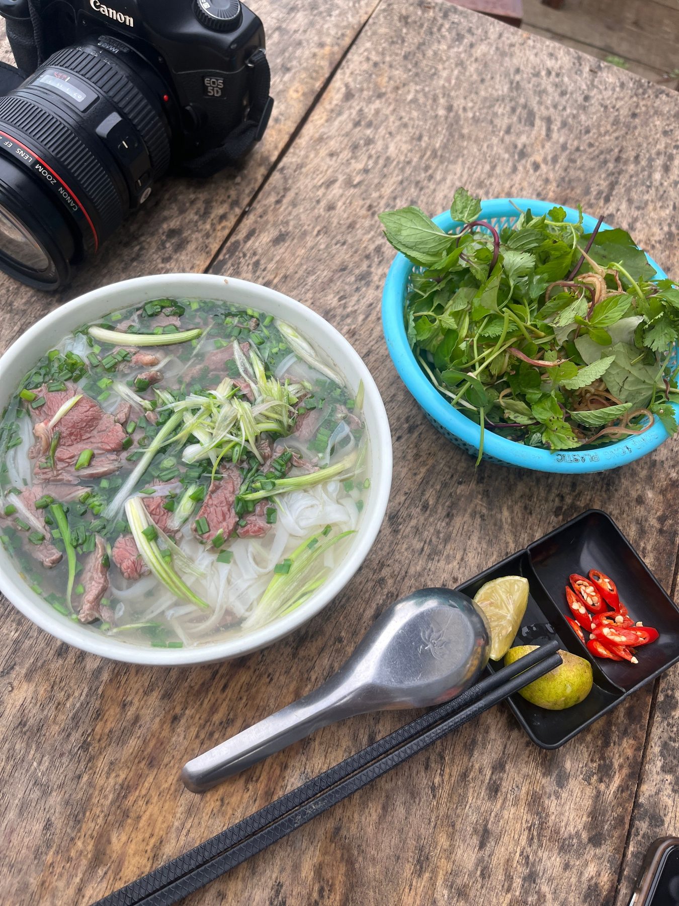 Bát phở Việt Nam với nước dùng, bánh phở và rau thơm